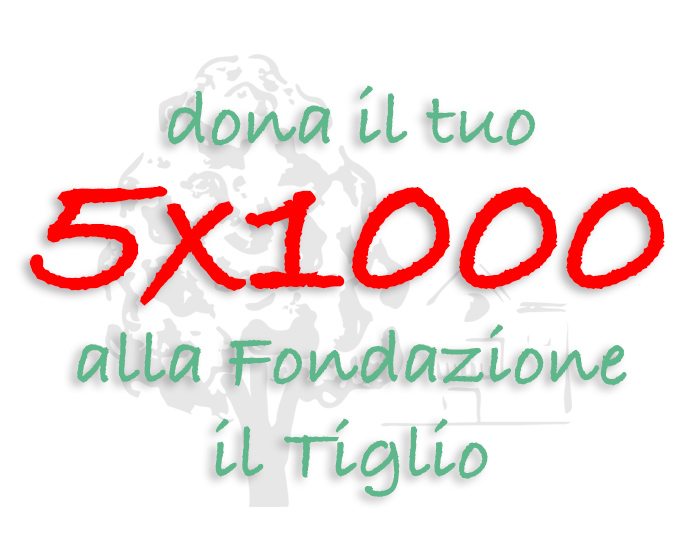 Dona il tuo 5x1000 alla Fondazione il Tiglio