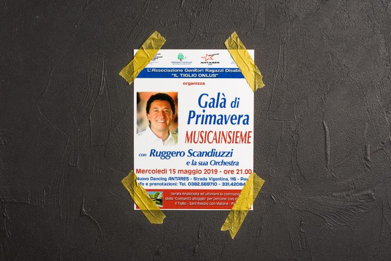 Galà di primavera MUSICAINSIEME